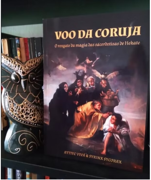 ilustrar o livro apresentado no texto livro voo da coruja numa estante